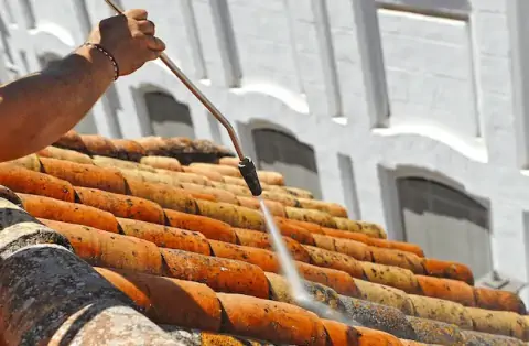 Nettoyage de toitures - Lussac